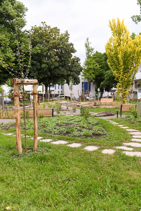 Baubegleitung Piko Park